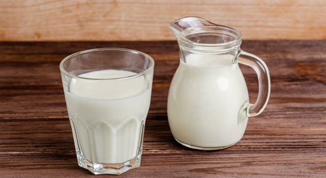 Сiencia Pregunta Trivia: ¿Cuál es la principal proteína de la leche?