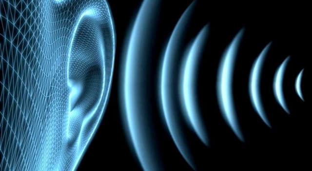 Cultura Pregunta Trivia: ¿Cuántos parámetros fundamentales tiene el sonido?