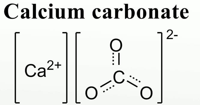 Science Question: Dans lequel d'entre eux le carbonate de calcium n'est pas présent ?