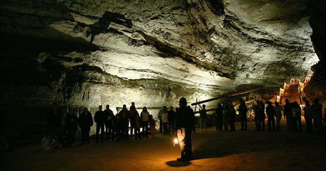 Nature Trivia Question: Fossils of which animal were found in Mammoth Cave in the USA?