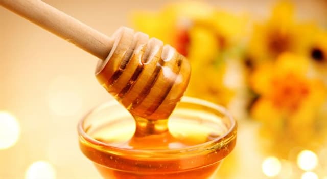 Natuur Trivia Vraag: Welk dier is verantwoordelijk voor het maken van honing?