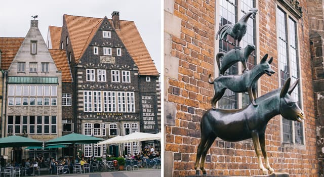 Kültür Trivia Sorusu: Grimm Kardeşler'in masalında hangi şehirde müzisyen olmak istediler?