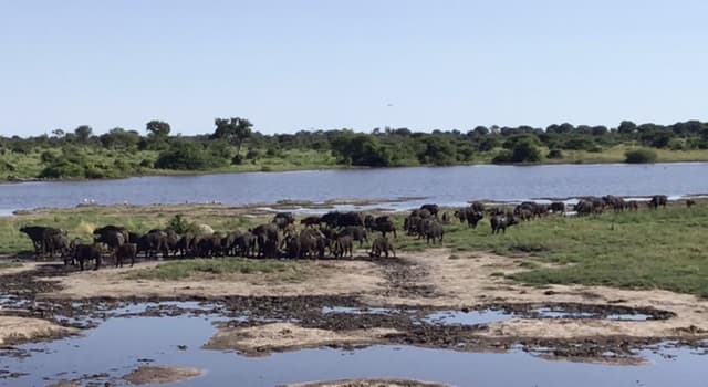 Aardrijkskunde Trivia Vraag: Wat is er zo uniek aan de Okavangodelta?