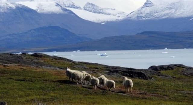 Geography Trivia Question: Which continent is Greenland a part of?