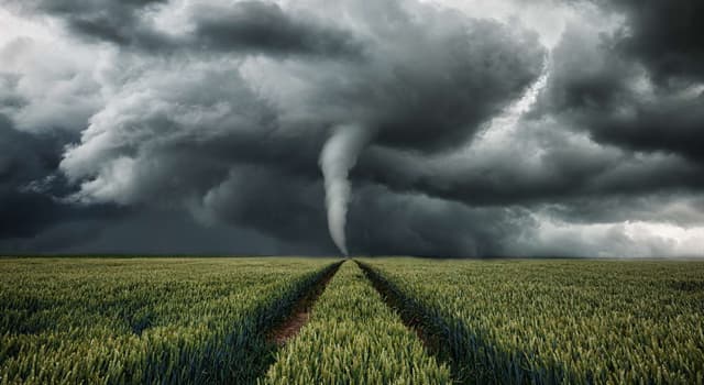 Société Question: Comment appelle-t-on la peur des tornades ?