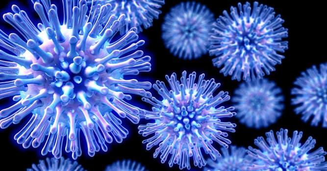 Science Question: En termes de mortalité, laquelle de ces souches de grippe était la plus mortelle ?