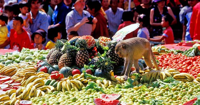 Maatschappij Trivia Vraag: In welk land wordt het Monkey Buffet Festival gehouden?