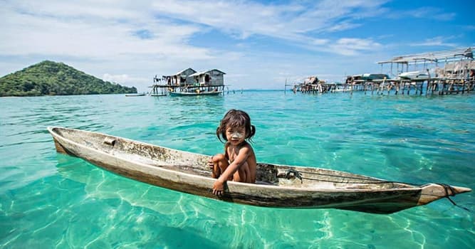 Wetenschap Trivia Vraag: Welke aanpassingsvermogen heeft de Bajau-stam ontwikkeld?