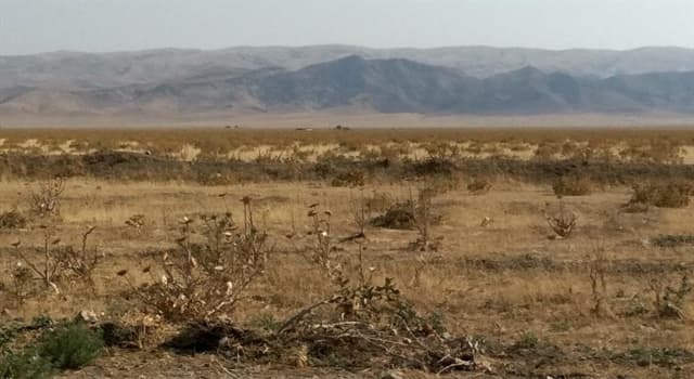 География Вопрос: В каком из регионов нашей планеты находится эта глинисто-солончаковая пустыня, называемая "Голодная степь"?