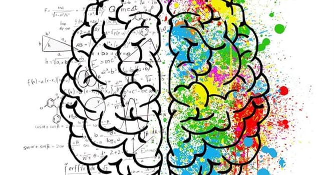 Science Trivia Question: Which side of the human body is controlled by the left side of the brain?