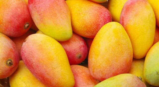 Natureza Pergunta Trivial: Qual é o nome da fruta na imagem?