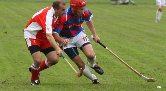 sport Pytanie-Ciekawostka: Skąd wzięła się gra w Shinty, rozgrywana kijami i piłką?