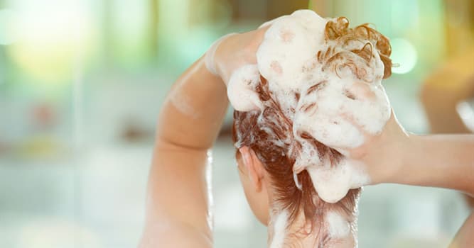 Culture Trivia Question: In 1927, who invented liquid shampoo?