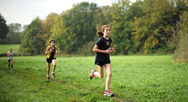 sport Pytanie-Ciekawostka: Skąd pochodzi bieg przełajowy?