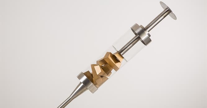 Quel est l'autre nom du tulipier ?