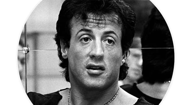 Filmy Pytanie-Ciekawostka: W którym z tych filmów nie wystąpił Sylvester Stallone?