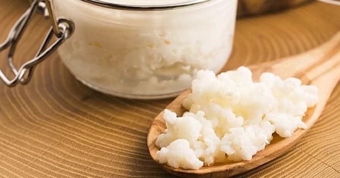 Sociedad Pregunta Trivia: ¿Cuántos tipos de kefir o búlgaros existen?