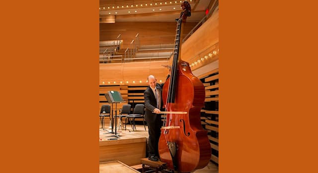 Culture Trivia Question: What is the height of the octobass?