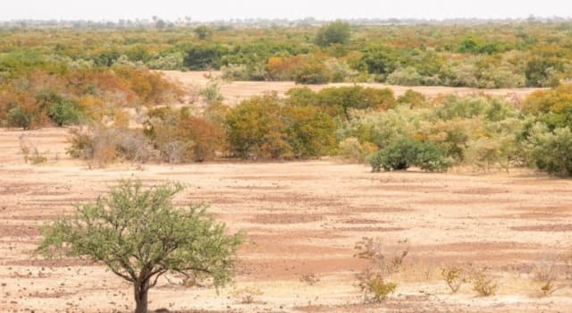 Coğrafya Trivia Sorusu: Sahel Nedir?