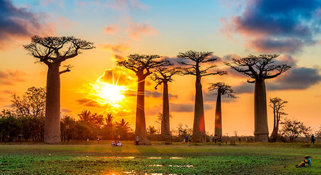 Cultura Pregunta Trivia: ¿Qué idiomas son oficiales en Madagascar?