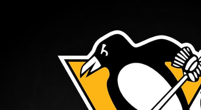 sport Pytanie-Ciekawostka: Pittsburgh Penguins to profesjonalna drużyna w czym?