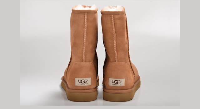 Culture Trivia Question: Ugg boots are made of which animal skin?