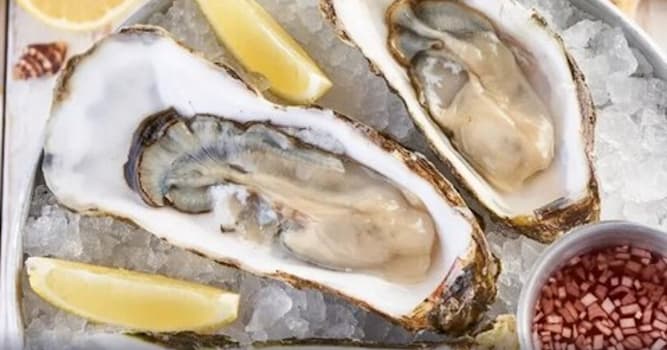 Culture Trivia Question: Old foodie tradition dictates only eating wild oysters during months containing which letter?