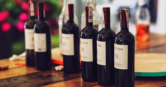 Toplum Trivia Sorusu: Merlot şarabı ne renktir?