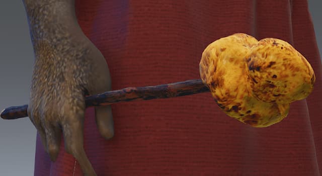 History Trivia Question: What was the purpose of the "xylospongium"?