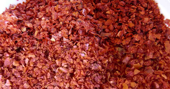 Toplum Trivia Sorusu: Cayenne biberi neyden yapılır?