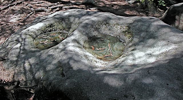 Science Question: En géomorphologie, qu'est-ce qu'une "cupule" ?