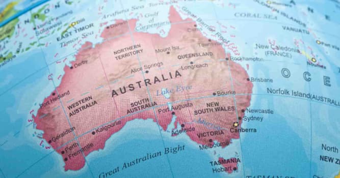 Natuur Trivia Vraag: Welke van deze dieren leven in Australië?