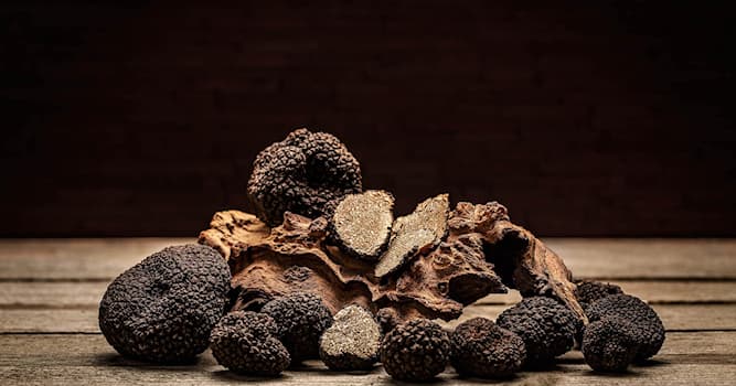 Doğa Trivia Sorusu: Hangi bitki mikorizalı olduğunda trüf üretebilir?