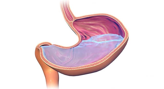 Сiencia Pregunta Trivia: ¿Qué sustancia no compone el jugo gástrico?