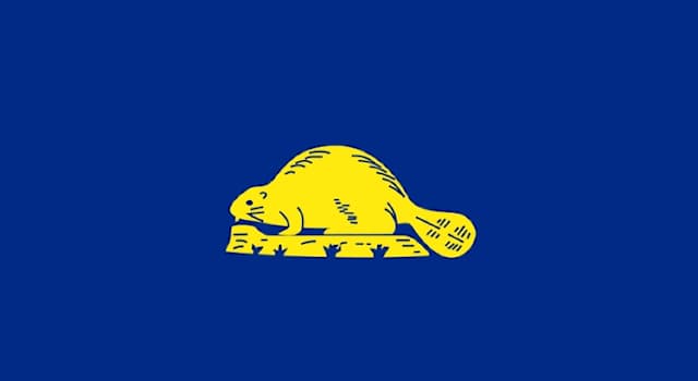 География Вопрос: Символом какого штата в США является бобёр, который изображён на одной из сторон флага этого штата?