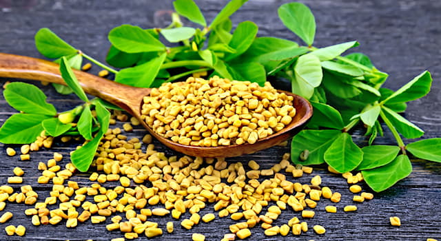 Culture Trivia Question: In which cuisine is fenugreek a common ingredient?