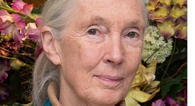 Société Question: Qui est Jane Goodall ?