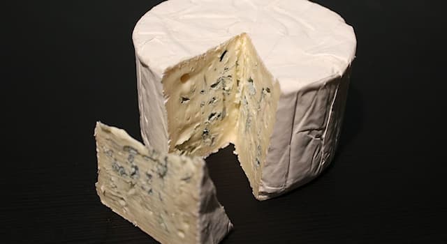 Society Trivia Question: In which country was Bleu de Bresse cheese first made?