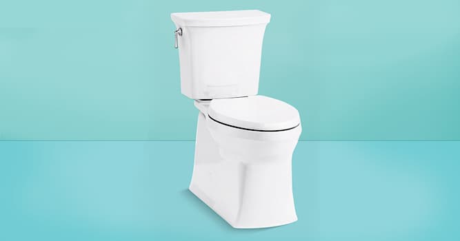 Society Trivia Question: Also called a float valve, what device is found in toilet cisterns to control the water flow after flushing?