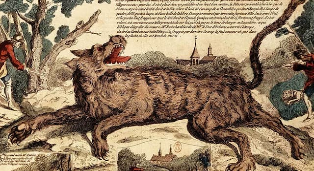 History Trivia Question: In which European country did a man-eating animal or animals terrorize the population between 1764 to 1767?