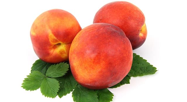Nature Trivia Question: What is the glossy-skinned variety of peach called?