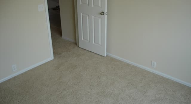 Society Trivia Question: What is a board covering the joint between the wall surface and the floor called?