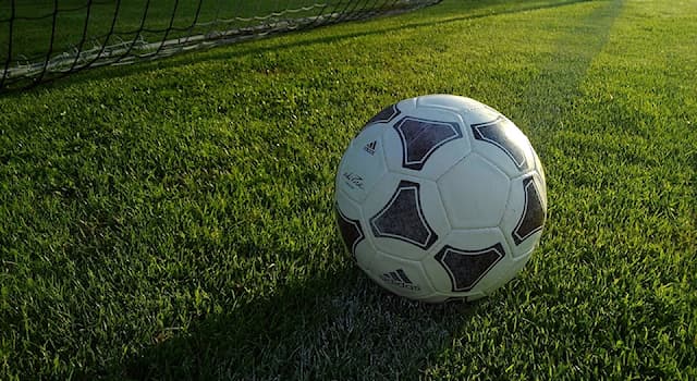 Спорт Вопрос: Как называется вид спорта, суть которого — показать своё обращение футбольным мячом, выполняя различные трюки?