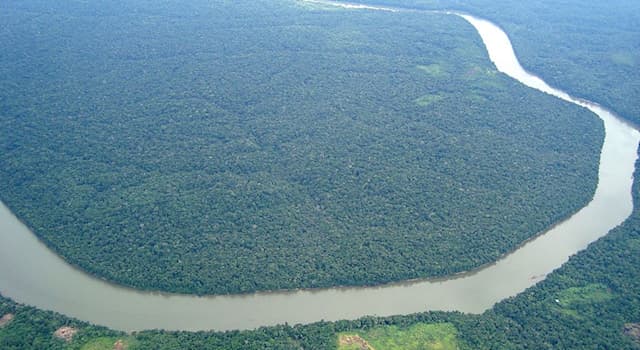 География Вопрос: Какой лес раскинулся в бассейне реки Амазонки?
