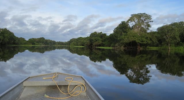 География Вопрос: Какой стране принадлежит большая часть бассейна реки Амазонки?