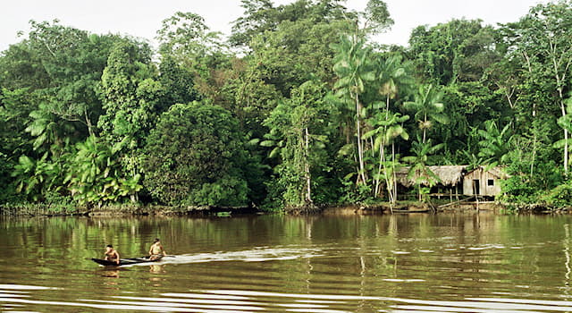 География Вопрос: Сколько лет реке Амазонке по мнению бразильских учёных?