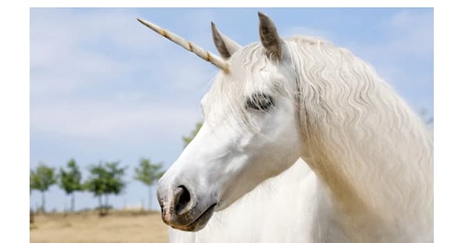 Society Trivia Question: The Unicorn is the national animal of which country?