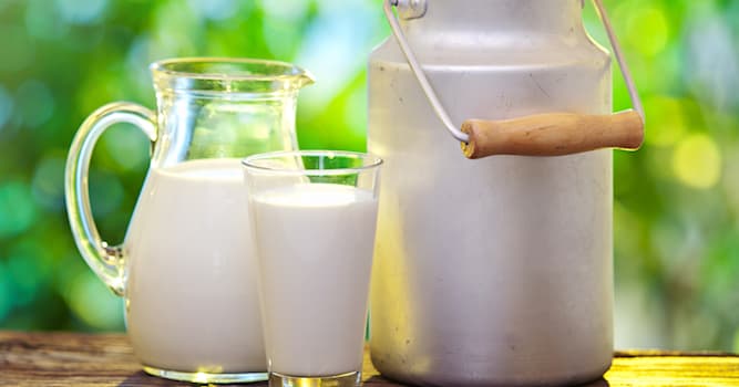 Naturaleza Pregunta Trivia: ¿Qué bebe una vaca?