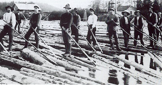 Society Trivia Question: What is a person who transports a raft of floating logs downstream to a sawmill called?