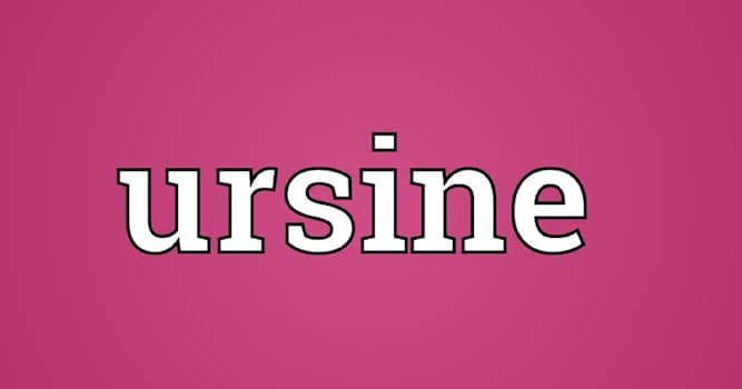 Science Trivia Question: What is the meaning of the adjective 'ursine'?